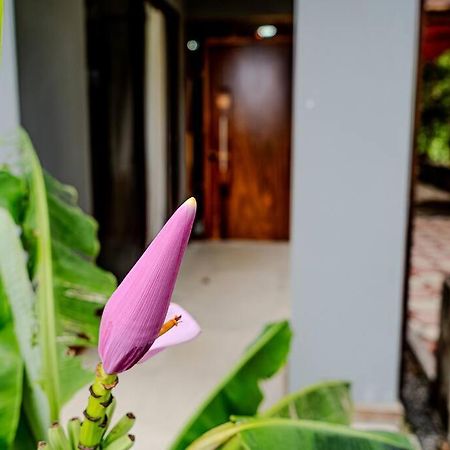 Cloud Forest House Monteverdes Exterior foto